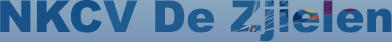 NKCV De Zjielen